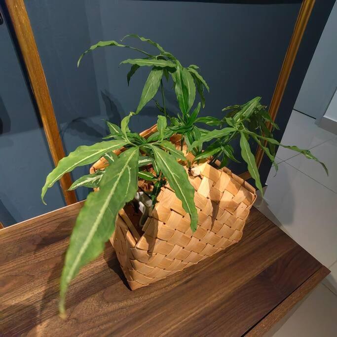 Alocasia Geniehome 3Br Free Wifi @ Utropolis ชาห์อาลัม ภายนอก รูปภาพ